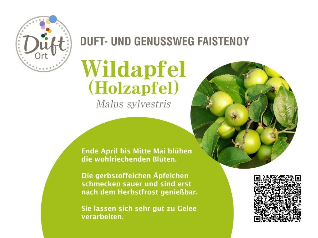 Holzäpfel und Schlehen auf dem Genussweg im Allgäu: Duftort Oy-Mittelberg